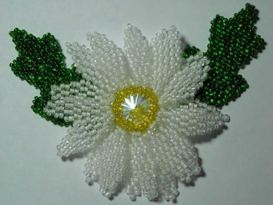 Helmitys aloittelijoille: järjestelmät ja mestarikurssit valokuvilla ja videoilla