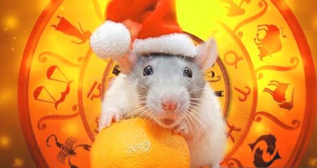 mikä eläin on symboli 2020