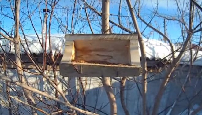 Originálny podávač guľatiny