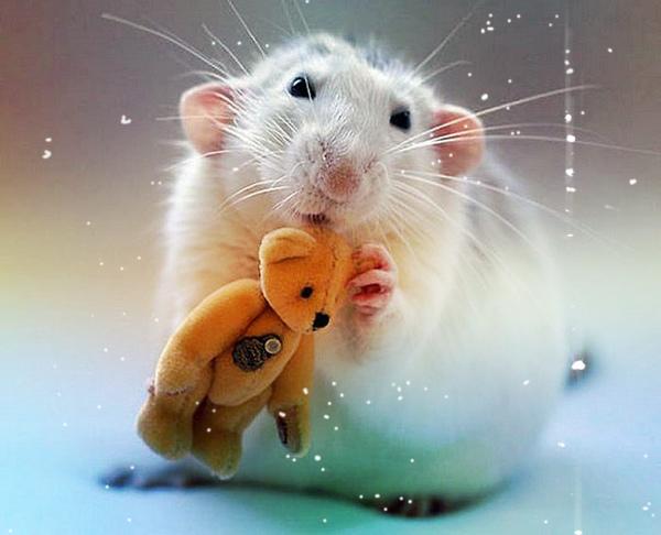 DIY χριστουγεννιάτικες συσκευασίες