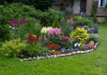 Kasvit on jaettu kolmeen pääryhmään niiden hoidon monimutkaisuuden mukaan: vaatimaton, aikaa vievä ja vähemmän aikaa vievä.