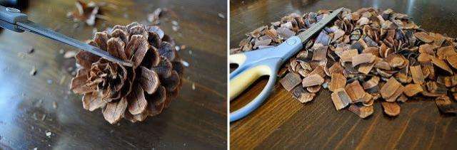 Først forbereder vi skalaerne. For at gøre dette skal du skille vægten fra hver bump ved hjælp af en saks.