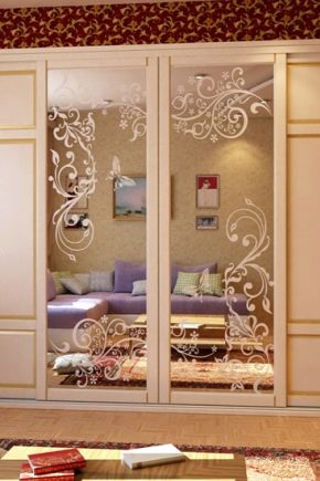 أبواب منزلقة مع صورة