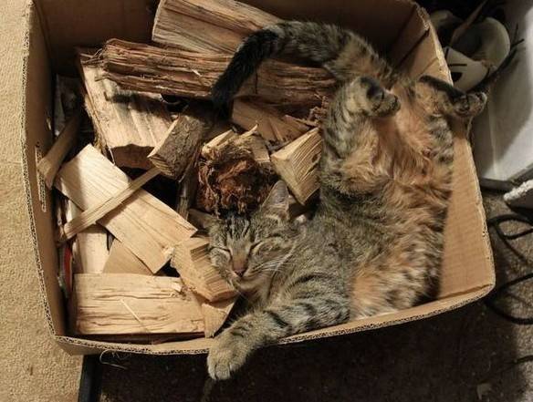 Inštalácia elektrického vykurovania v súkromnom dome