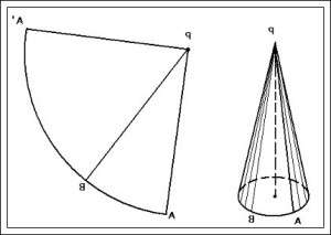 Jos haluat antaa puulle ainutlaatuisen ilmeen, yritä piirtää puu säännölliseen muotoon.