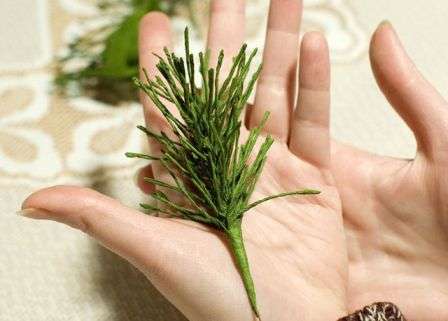 Tee eri paperinauhoista useita aihioita havupuut. Sitten sinun on yhdistettävä kolme tai neljä elementtiä yhdeksi haaraksi.