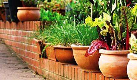 Tämä menetelmä talon edessä olevan alueen järjestämiseksi sopii, jos puutarhassa ei ole toimivaa puutarhaa