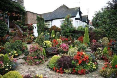 kasvit kesämökin sisustukseksi