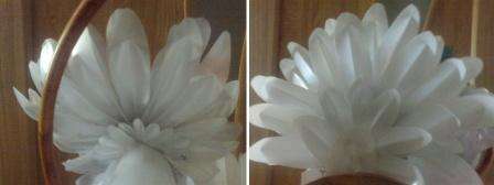 Από ένα λευκό πλαστικό μπουκάλι, πρέπει να κόψετε πολλά φτερά για την ουρά του περιστεριού. Φτιάξτε διάφορους τύπους φτερών, τα οποία στη συνέχεια κολλούνται με αύξουσα σειρά. Θα πρέπει να έχετε ουρά σε σχήμα ανεμιστήρα.