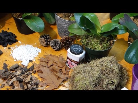 Orkideasubstraatti. Sadonkorjuu ja valmistelu.