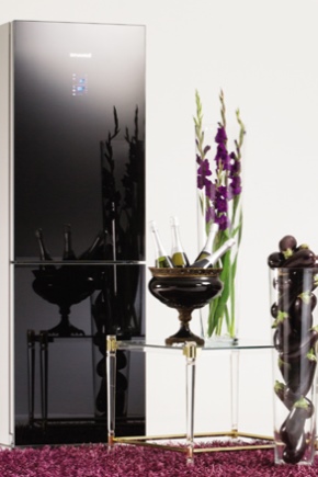 Хладилник Snaige