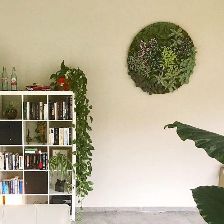 ديكور ورق الحائط