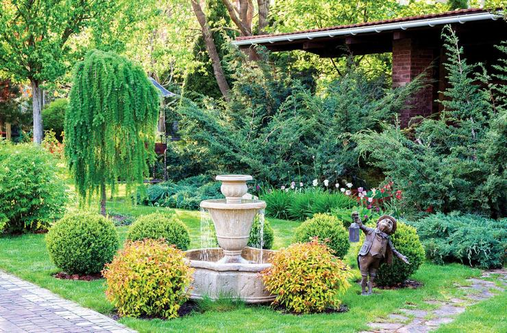 الصفصاف في تصميم المناظر الطبيعية