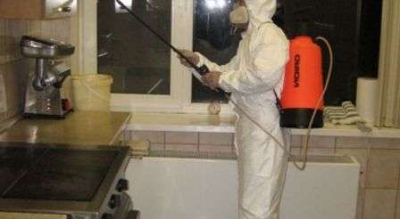 Tuholaistorjuntapalvelu torjuu hyönteisiä erittäin tehokkaasti, nopeasti ja vaarattomasti muille