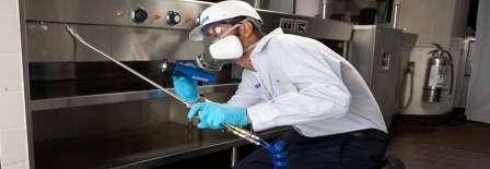 Kuinka päästä eroon torakoista asunnossa. Tapoja torjua torakoita, kansanlääkkeitä