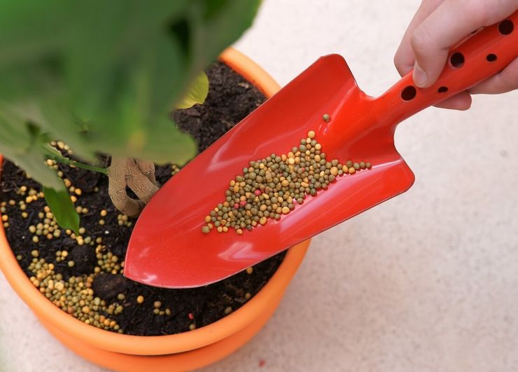 Huippupukeutumisaika