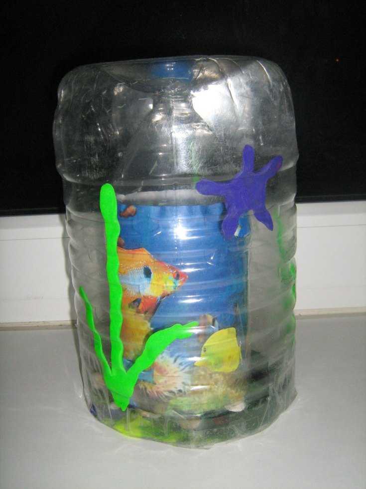 Kuinka tehdä akvaario eri materiaaleista: mestarikurssit, valokuvaesimerkit, video -ohjeet