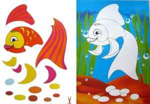 Kuinka tehdä akvaario eri materiaaleista: mestarikurssit, valokuvaesimerkit, video -ohjeet