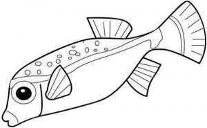 Kuinka tehdä akvaario eri materiaaleista: mestarikurssit, valokuvaesimerkit, video -ohjeet