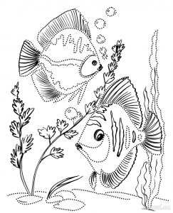 Kuinka tehdä akvaario eri materiaaleista: mestarikurssit, valokuvaesimerkit, video -ohjeet