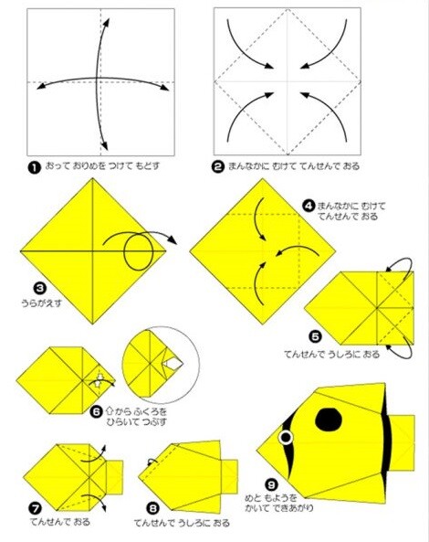 Kuinka tehdä akvaario eri materiaaleista: mestarikurssit, valokuvaesimerkit, video -ohjeet