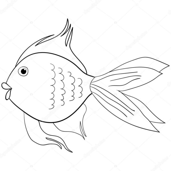 Kuinka tehdä akvaario eri materiaaleista: mestarikurssit, valokuvaesimerkit, video -ohjeet