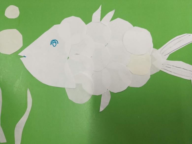 Kuinka tehdä akvaario eri materiaaleista: mestarikurssit, valokuvaesimerkit, video -ohjeet