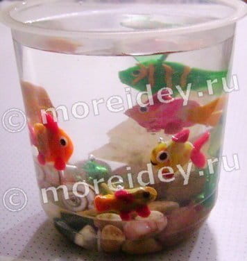 Kuinka tehdä akvaario eri materiaaleista: mestarikurssit, valokuvaesimerkit, video -ohjeet