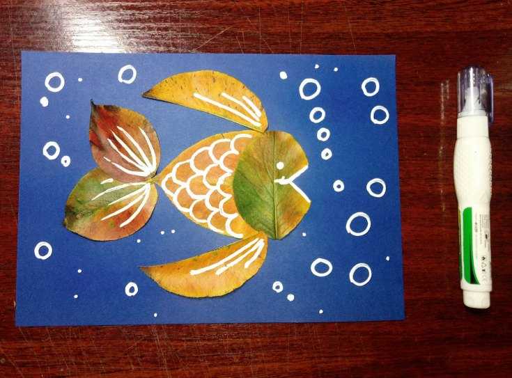 Kuinka tehdä akvaario eri materiaaleista: mestarikurssit, valokuvaesimerkit, video -ohjeet