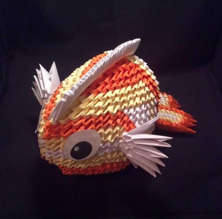 Kuinka tehdä akvaario eri materiaaleista: mestarikurssit, valokuvaesimerkit, video -ohjeet