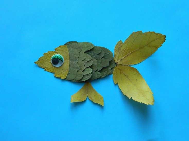 Kuinka tehdä akvaario eri materiaaleista: mestarikurssit, valokuvaesimerkit, video -ohjeet