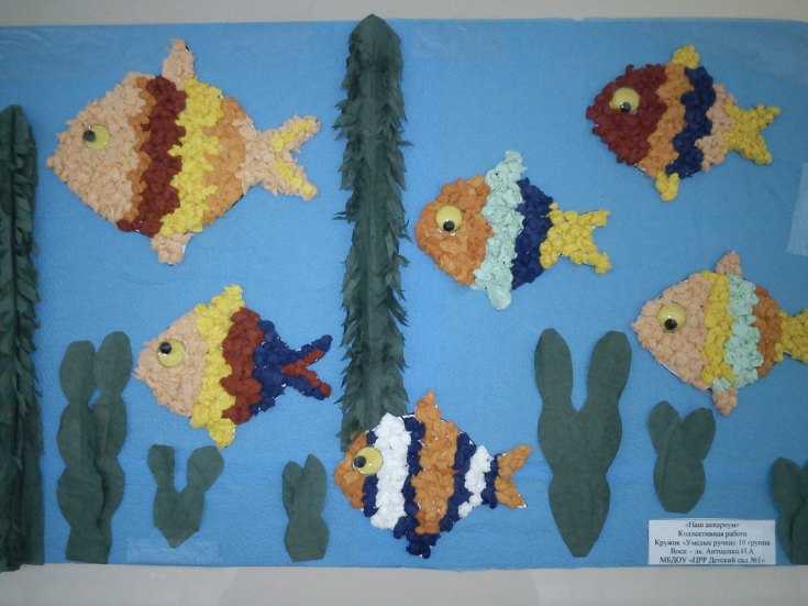 Kuinka tehdä akvaario eri materiaaleista: mestarikurssit, valokuvaesimerkit, video -ohjeet