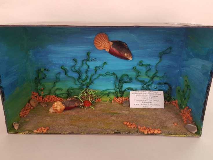 Kuinka tehdä akvaario eri materiaaleista: mestarikurssit, valokuvaesimerkit, video -ohjeet