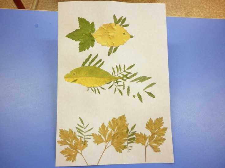 Kuinka tehdä akvaario eri materiaaleista: mestarikurssit, valokuvaesimerkit, video -ohjeet