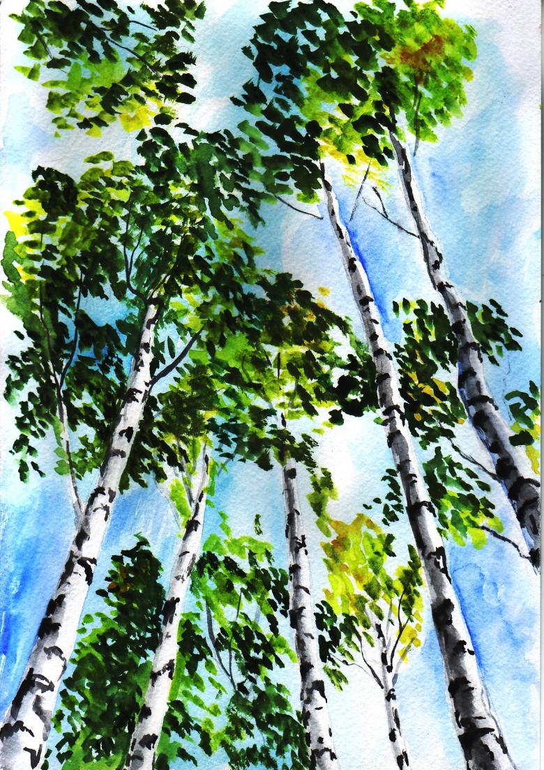 Kuinka piirtää koivu vaiheittain - helppoja mestarikursseja koivun piirtämisessä