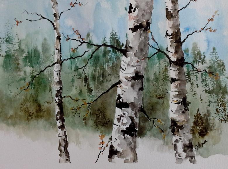 Kuinka piirtää koivu vaiheittain - helppoja mestarikursseja koivun piirtämisessä