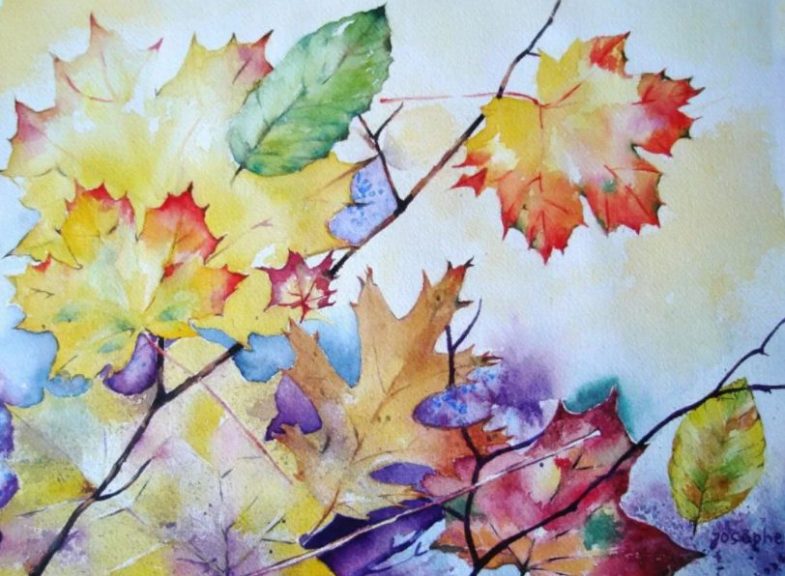 Sådan tegnes et ahornblad i etaper: fluo -eksempler, video