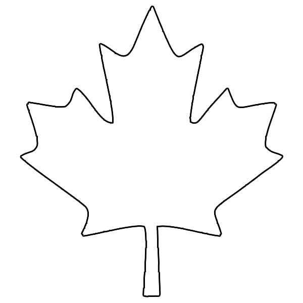 Hvordan man tegner et ahornblad
