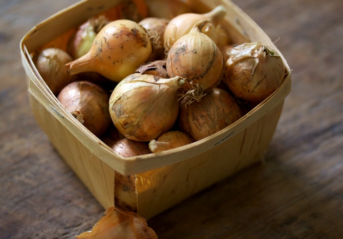 Sipulien säilyttämiseksi sinun on valittava kuiva paikka, ja säiliön tulee olla hyvä ilmanvaihto.