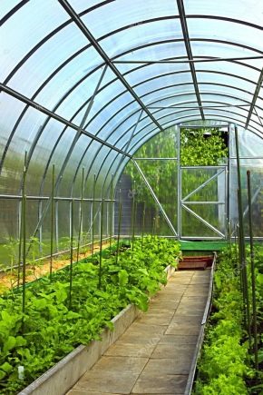 Как да направите оранжерия правилно?