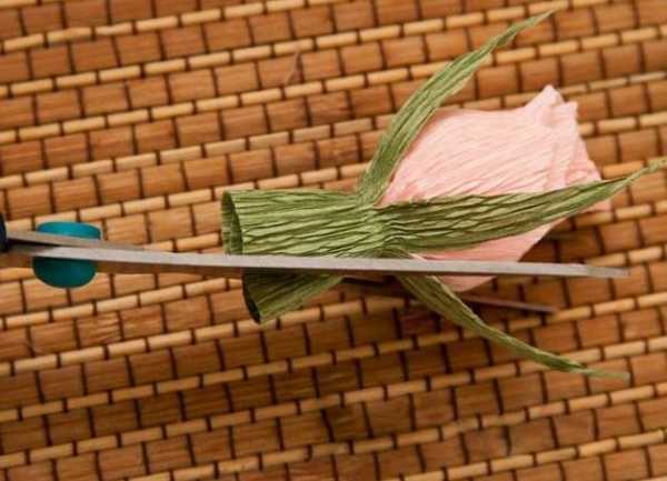 Πώς να φτιάξετε ένα μπουκέτο με τα χέρια σας: παραδείγματα φωτογραφιών, μαθήματα βήμα προς βήμα για αρχάριους