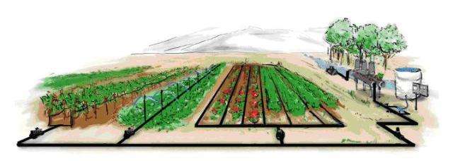 Kuinka tehdä do-it-yourself tippa kastelu puutarhaan Tippakastelu maassa romumateriaaleista