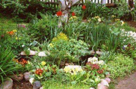 Πώς να φτιάξετε ένα παρτέρι από διαφορετικά υλικά με τα χέρια σας