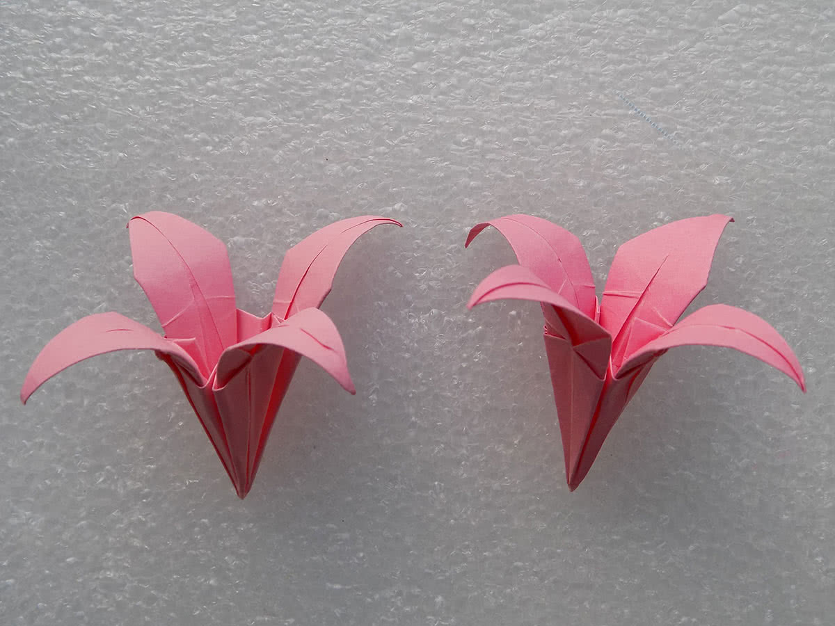 Βήμα κρίνου Origami 23