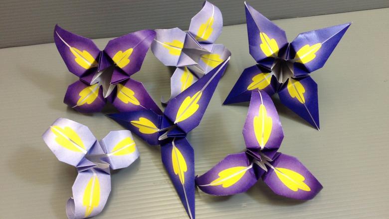 Πώς να φτιάξετε ένα κρίνο από χαρτί σε διαφορετικές τεχνικές: οδηγίες βήμα προς βήμα DIY, τα απαραίτητα εργαλεία και υλικά