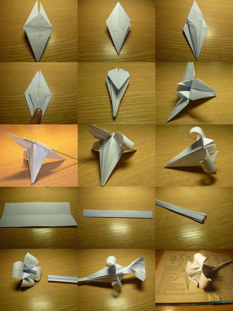 Πώς να φτιάξετε ένα κρίνο από χαρτί σε διαφορετικές τεχνικές: οδηγίες βήμα προς βήμα DIY, τα απαραίτητα εργαλεία και υλικά