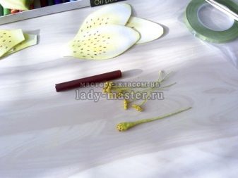 Πώς να φτιάξετε ένα κρίνο από χαρτί σε διαφορετικές τεχνικές: οδηγίες βήμα προς βήμα DIY, τα απαραίτητα εργαλεία και υλικά