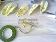 Πώς να φτιάξετε ένα κρίνο από χαρτί σε διαφορετικές τεχνικές: οδηγίες βήμα προς βήμα DIY, τα απαραίτητα εργαλεία και υλικά