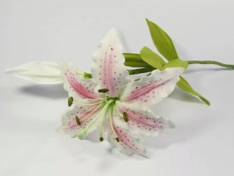 Πώς να φτιάξετε ένα κρίνο από χαρτί σε διαφορετικές τεχνικές: οδηγίες βήμα προς βήμα DIY, τα απαραίτητα εργαλεία και υλικά