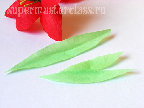 Κόβοντας τα φύλλα για το κρίνο